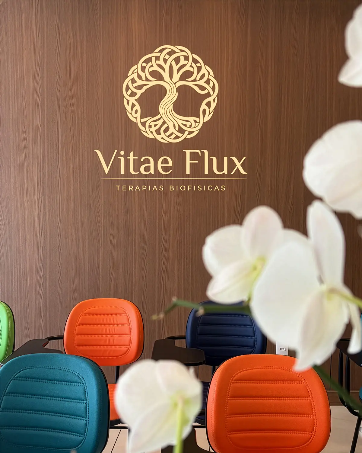 Logo dourado da Vitae Flux Terapias Biofísicas em parede amadeirada, com cadeiras coloridas em verde, laranja, azul e verde-azulado na frente e orquídeas brancas à direita